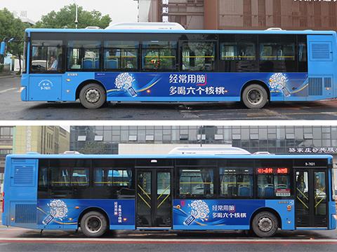 浙江公交广告|浙江区县公交广告